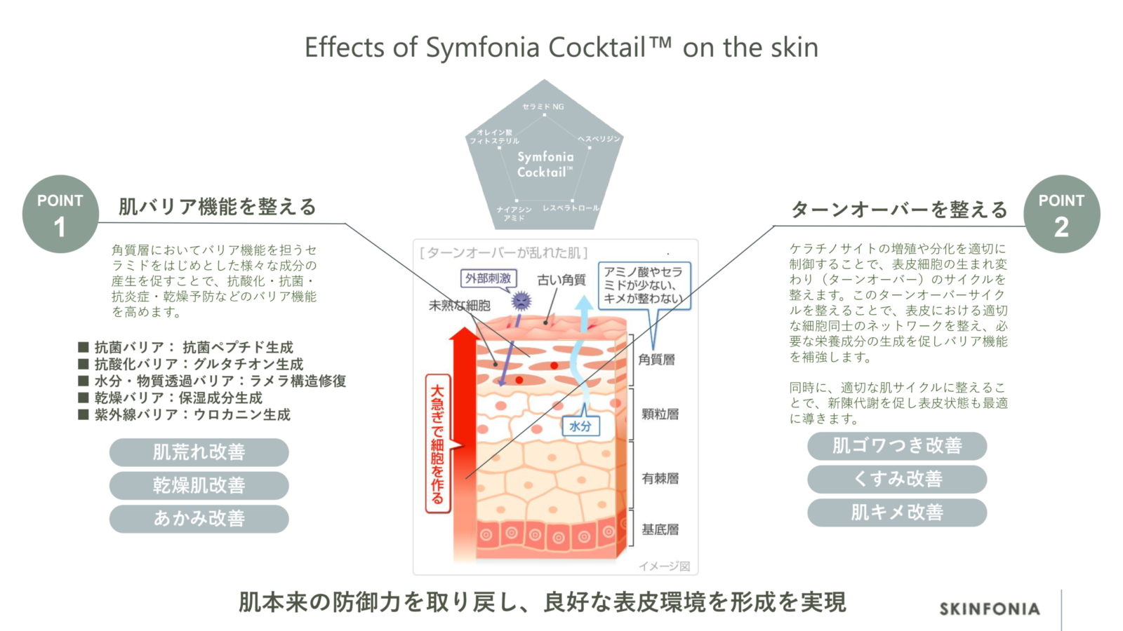SKINFONIA ダーマルモイスチャークリーム(Dermal Moisture Cream
