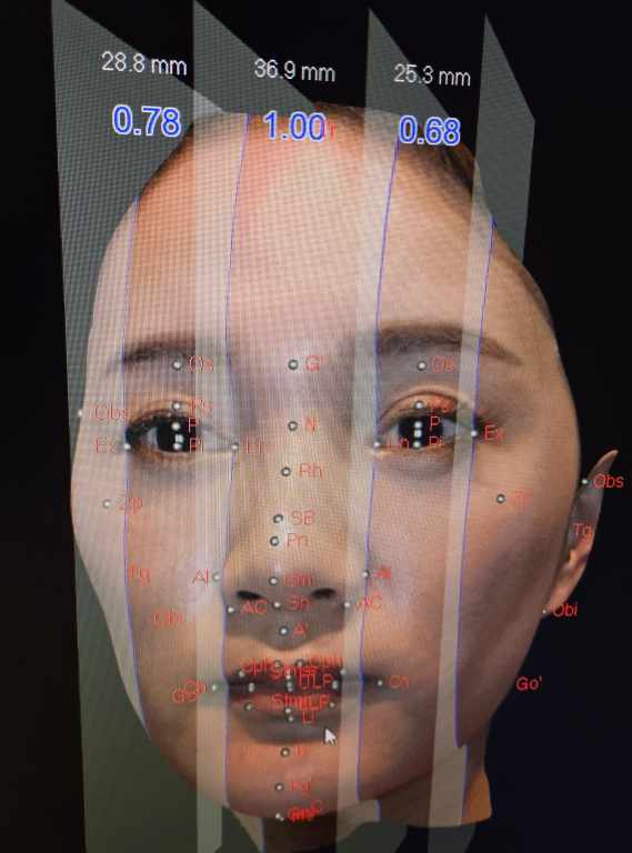 東京銀座 美容整形外科 美容皮膚科 レティシアクリニック